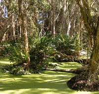 Arkarra Lagoons and Tea Gardens - Accommodation Port Hedland