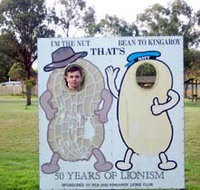 Kingaroy Lions Park - Accommodation Port Hedland