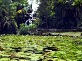 Queens Park Waterfall - Accommodation Port Hedland 0