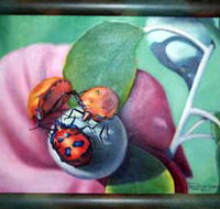 Kingaroy Shire Art Gallery - Accommodation Port Hedland