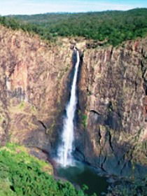 Gugigugi (Butterfly) Walk, Wet Tropics Great Walk - Accommodation Port Hedland 0