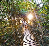 Tree Top Walkway - Accommodation Port Hedland