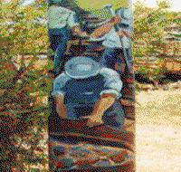 Alpha Murals - Accommodation Port Hedland