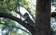 Daisy Hill Conservation Park - thumb 0