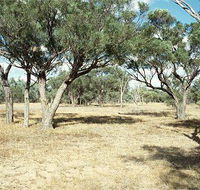 Forest Den National Park - Accommodation Port Hedland