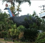 The Big Cassowary - Accommodation Port Hedland