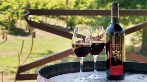 Wild Cattle Creek Estate Winery Restaurant - Accommodation Port Hedland 4