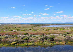 Point Cook Coastal Park - Accommodation Port Hedland 0