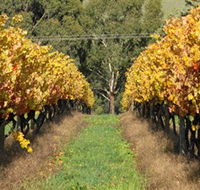Wild Dog Winery  Restaurant - Accommodation Port Hedland
