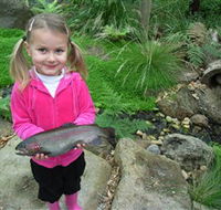 Wild Food Farm  Cafe - Accommodation Port Hedland