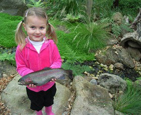 Wild Food Farm & Cafe - Accommodation Port Hedland 0