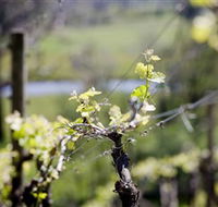 Elan Vineyard and Winery - Accommodation Port Hedland