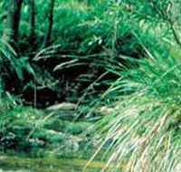 Lerderderg State Park - Accommodation Port Hedland