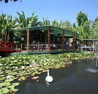 Blue Lotus Water Garden - Accommodation Port Hedland