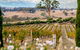 Redesdale Estate - thumb 0