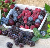 Bright Berry Farms - Accommodation Port Hedland