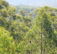 Bunyip State Park - Accommodation Port Hedland