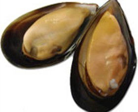 Sea Bounty - Accommodation Port Hedland 0