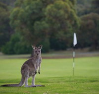 Anglesea Golf Club - Accommodation Port Hedland