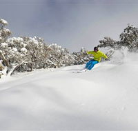Mt Buller and Mt Stirling Alpine Resort - Accommodation Port Hedland