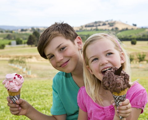 Yarra Valley Chocolaterie & Ice Creamery - Accommodation Port Hedland 6