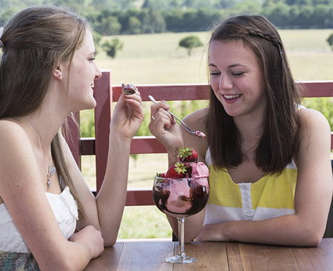 Yarra Valley Chocolaterie & Ice Creamery - Accommodation Port Hedland 8