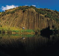 Organ Pipes National Park - Accommodation Port Hedland