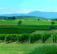 Acacia Ridge Vineyard - Accommodation Port Hedland
