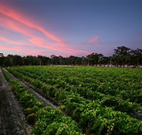 Amherst Winery - Accommodation Port Hedland