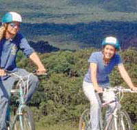 Lysterfield Park - Accommodation Port Hedland