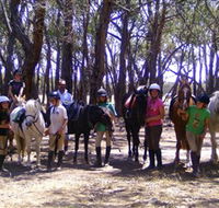 Bellarine Horse Riding Centre - Accommodation Port Hedland