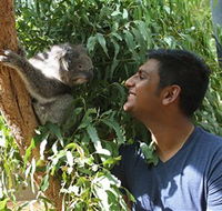 Healesville Sanctuary - Accommodation Port Hedland