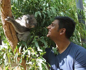 Healesville Sanctuary - Accommodation Port Hedland 0