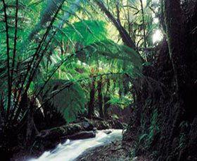 Lavers Hill VIC Accommodation Port Hedland