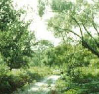Holey Plains State Park - Accommodation Port Hedland