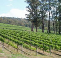 Piedmont Vineyard - Accommodation Port Hedland