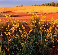 Royal Botanic Gardens Victoria Cranbourne - Accommodation Port Hedland