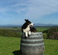 Windy Ridge Vineyard and Winery - Accommodation Port Hedland