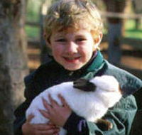 Maribyrnong Valley Parklands - Accommodation Port Hedland