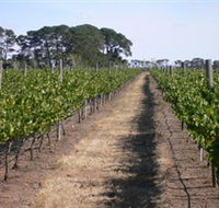 Mount Beckworth Wines - Accommodation Port Hedland