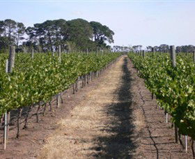 Mount Beckworth Wines - Accommodation Port Hedland 0