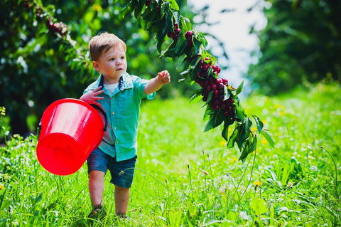 Cherryhill Orchards - Accommodation Port Hedland 2