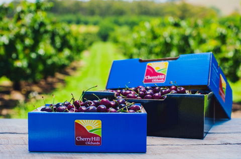 Cherryhill Orchards - Accommodation Port Hedland 3