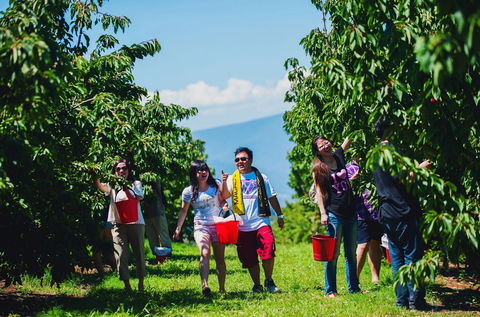 Cherryhill Orchards - Accommodation Port Hedland 4
