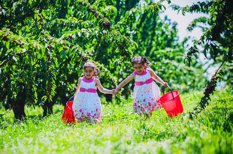 Cherryhill Orchards - Accommodation Port Hedland 6