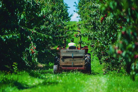 Cherryhill Orchards - Accommodation Port Hedland 7