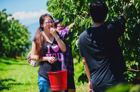 Cherryhill Orchards - Accommodation Port Hedland 9
