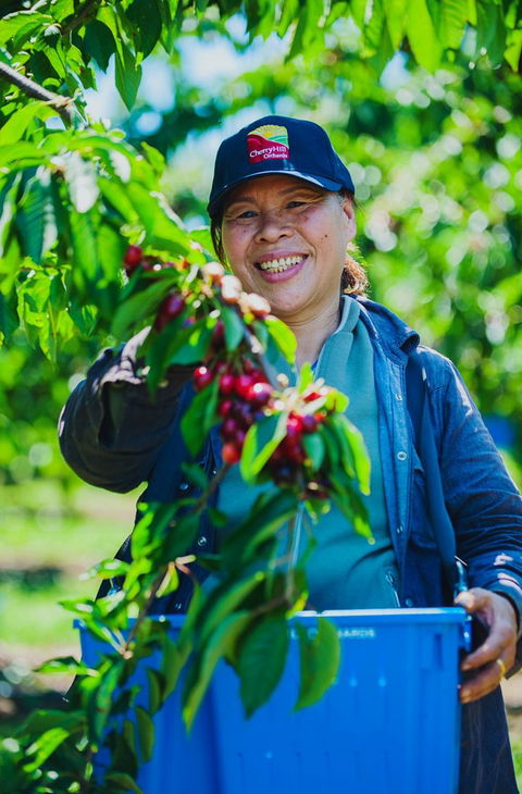 Cherryhill Orchards - Accommodation Port Hedland 11