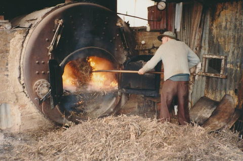 Eucalyptus Distillery Museum - Accommodation Port Hedland 2