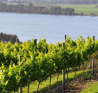 Two Figs Winery - Accommodation Port Hedland